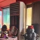 미드나잇 롤러코스터 클럽 이미지