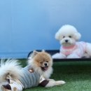 브루하하유치원 이미지