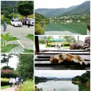 동구리 호수공원 이미지