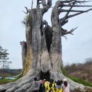 여고초등학교 이미지