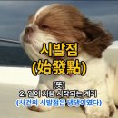 일본말에 욕이 없는 이유 이미지