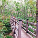 대공목장 이미지