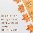 나이를 잘 먹는다는 것은 이미지