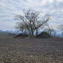 와흘메밀마을 이미지