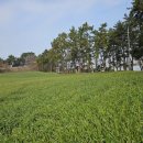 돌머리 696 이미지