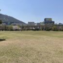 봉황대공원(주차장입구) 이미지