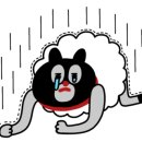 H0026 이미지