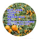 지웅농장 이미지