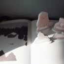 숲 휴게소 이미지