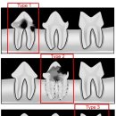 그레이스 고양이 병원 이미지