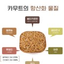 슈퍼푸드 셀레늄 다량함유 어린이성장기에도 좋은 올리 카무트 한끼