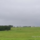 다다목장 이미지