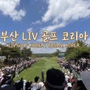 리브골프 | 부산 리브골프코리아 솔직한 후기