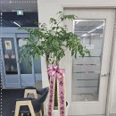 해성환경