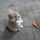 멍스토리 이미지