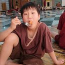 뉴해모수 이미지