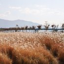 낙동강자전거길6 이미지