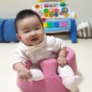 댕이 데이 이미지