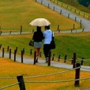 우리 늘 이미지