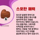 사랑이 오래 가는 비밀 : 상대방의 방어기제를 파악하라 이미지