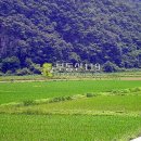 옥리농장 이미지