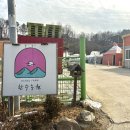 한수사 | 세종시 가볼만한곳 한수농원｜아이랑 겨울여행 눈썰매까지 한 번에