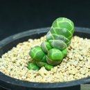 안동호민박 이미지