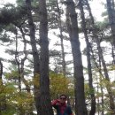 충냐