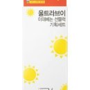 전다이브이