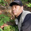 푸른자원