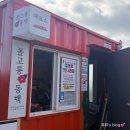 남원읍-65 | 제주 서귀포 동백 명소 추천 - 겨울 제주 가볼만한 곳 ‘볼고롱동백’ 26년 2월3일 방문후기