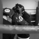 에너자이저 복싱 이미지