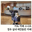 경주 애견동반 카페 실내 키녹 카페 스니프