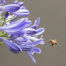 초원골프연습장 이미지