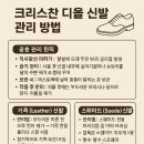 매직크린월드 이미지