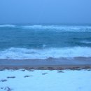 철없는바다 이미지