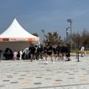 다시 봄 | 아이랑 가기 좋은 행사, 부산 명지 봄축제! "다시 봄" 다녀온 후기 [경험쿠폰 정보 포함]