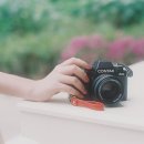 맑고 향기롭게 이미지