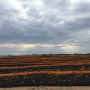 송림목장 이미지