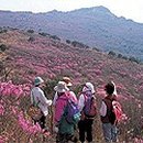 경북대학교 행정대학원 이미지