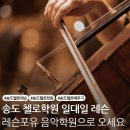 첼로 1:1 맞춤레슨 | 송도 첼로 학원 고민이라면? 1:1 맞춤 레슨 레슨포유 음악학원