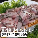 수산진성 | [개봉동/개봉] 튼실한 소방어 전어회 진성수산 포장후기