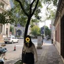 [중국 교환학생] 북경우전대 일기 - 8 : 국경절 맞이 천진 天津 여행
