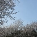 운서역 1번출구 우측 이미지