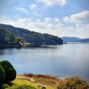 윤부동산중개 이미지