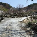 인심공인중개사사무소 이미지