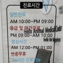 헬릭스동물메디컬센터 - 서초구 신반포로 162 | 헬릭스동물메디컬센터