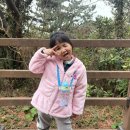 으뜸이야 이미지