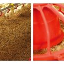 삼현농장 이미지