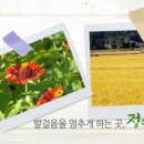 개미들농촌체험마을 이미지